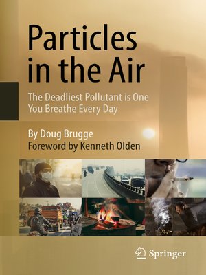 cover image of Particles in the Air